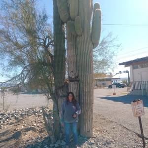 Meet your Posher, Tammy